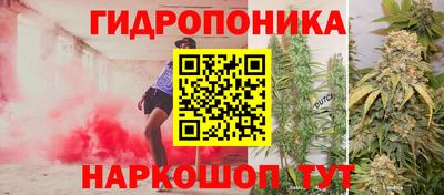 МДПВ Будённовск