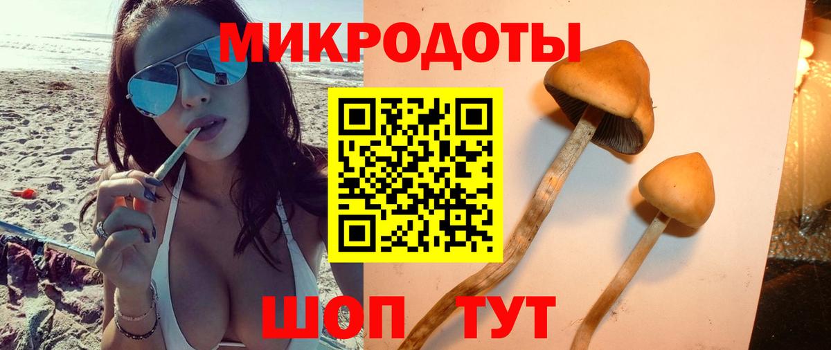 Галлюциногенные грибы Cubensis Лиски